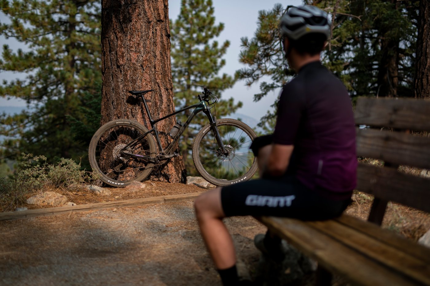 Giant Bicycles 2021 Bike line up project image 10