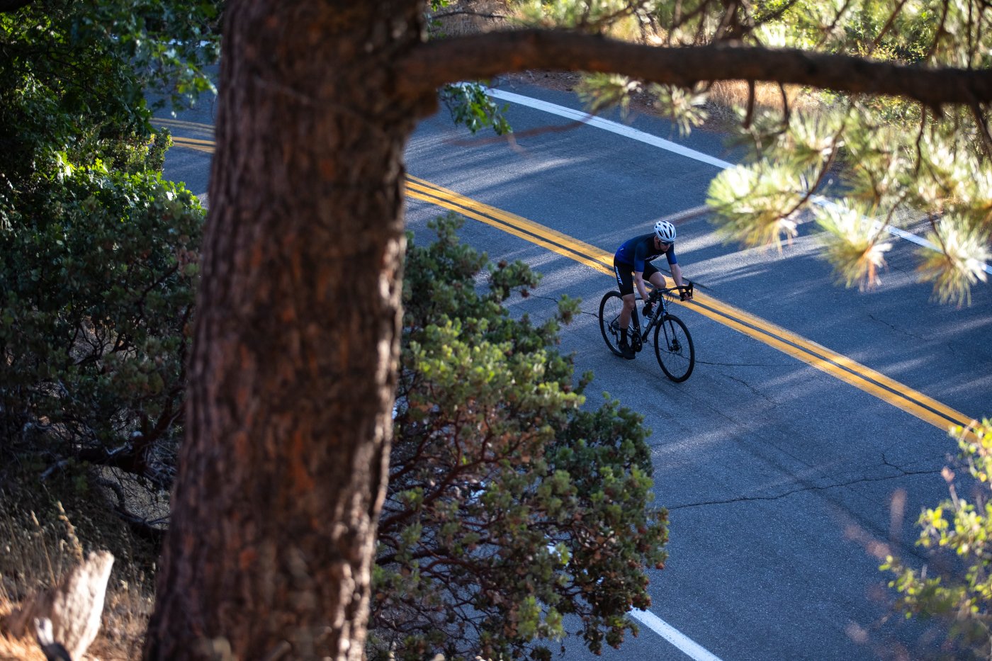 Giant Bicycles 2021 Bike line up project image 13