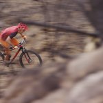WildFire Mountain Bike project image 5