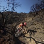 WildFire Mountain Bike project image 10